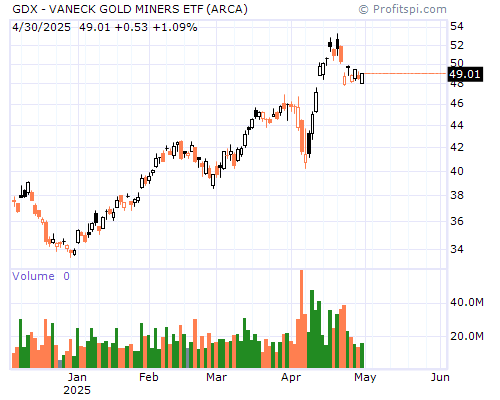 GDX Stock Chart Sunday, February 9, 2014 10:17:45 PM