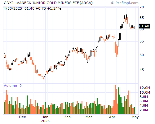 GDXJ Stock Chart Sunday, February 9, 2014 10:18:08 PM